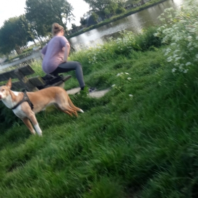 5710_zo_nodig_half_gouda.jpg