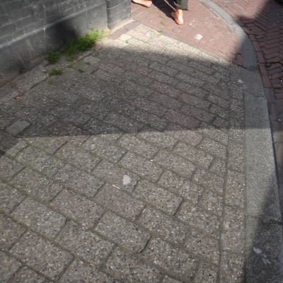 5736_geen_zool_half_gouda.jpg