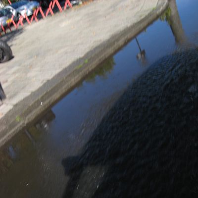 5766_mijn_land_half_gouda_29_09_2022.jpg