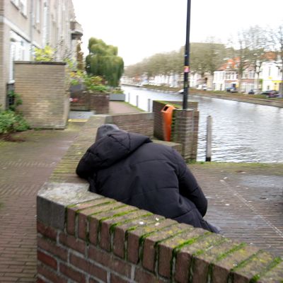 5815_narcoticum_half_gouda_17_11_2022.jpg