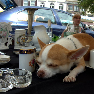 8589_snuffelmarkt.jpg