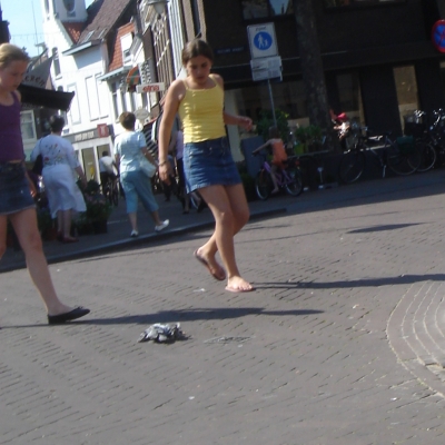 997_het_is_een_duif.jpg