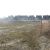 1658_bouw_25_03_11.jpg