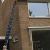2175_volgelingen_24_08_2012.jpg