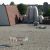 2509_spaans_vinden_19_07_2013.jpg