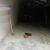 2709_gebed_29_01_2014.jpg