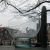 2713_gezien_02022014.jpg