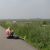 4945_ontslipperd_half_gouda.jpg