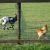 5244_onderwaardering_half_gouda.jpg
