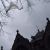 544_walging_2_17_3.jpg