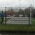 579_laatste_schot_20_4.jpg